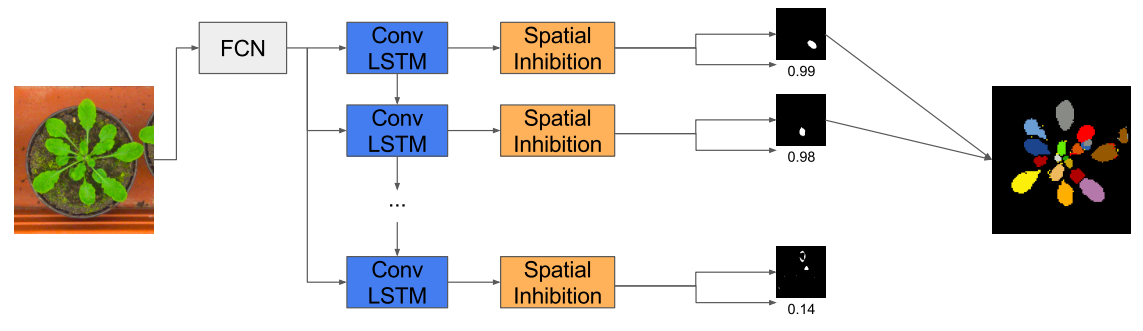 Recurrent Instance Segmentation